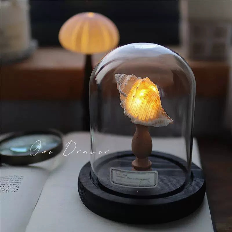 DIY Conch Night Light Ornaments Handmade Pack