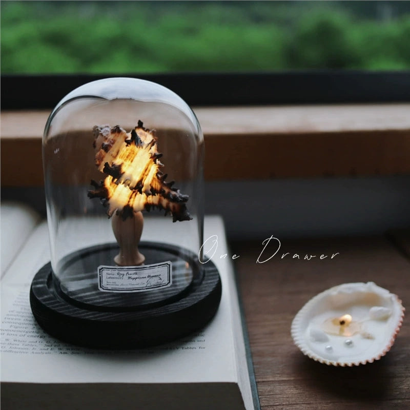 DIY Conch Night Light Ornaments Handmade Pack