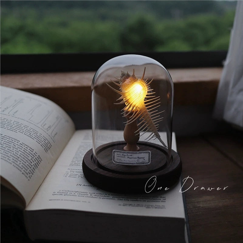 DIY Conch Night Light Ornaments Handmade Pack