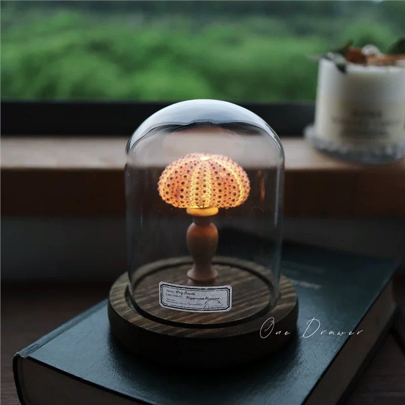 DIY Conch Night Light Ornaments Handmade Pack