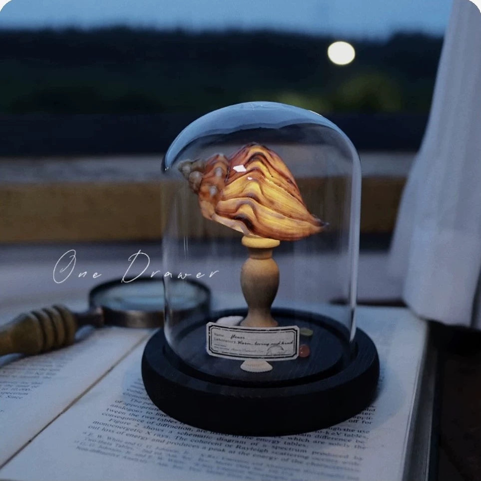 DIY Conch Night Light Ornaments Handmade Pack
