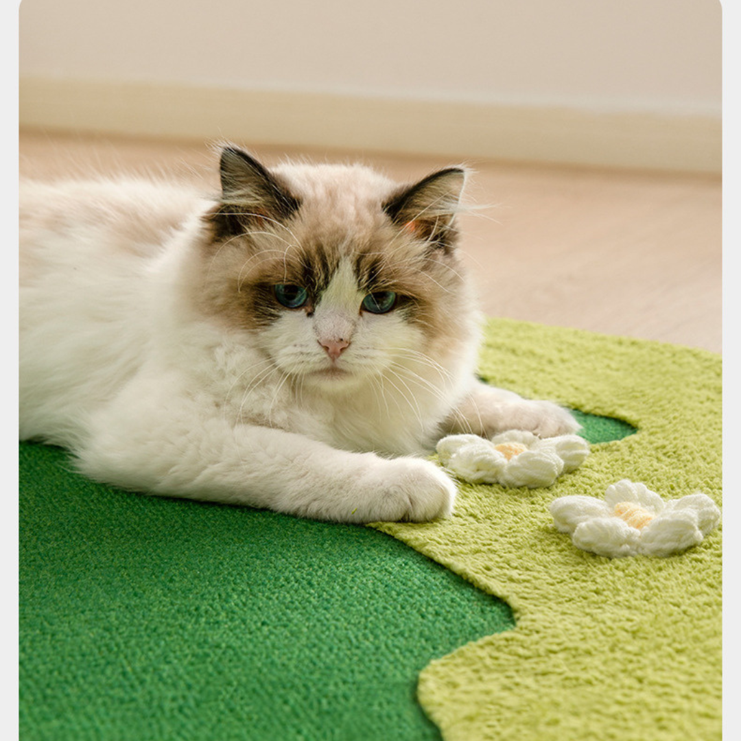 Green and Floral Scratching Mat