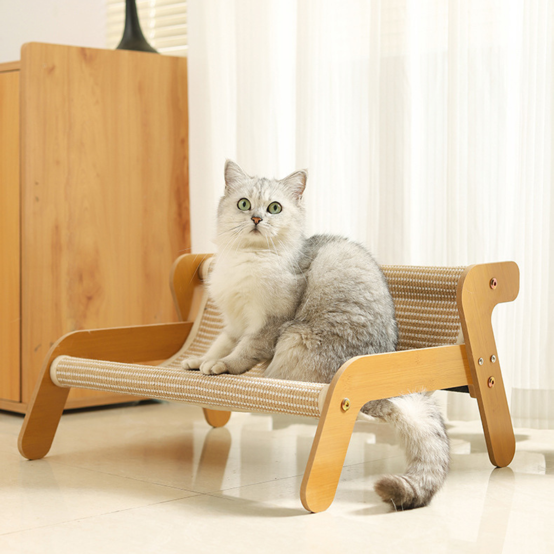 Scratching Lounge Chair