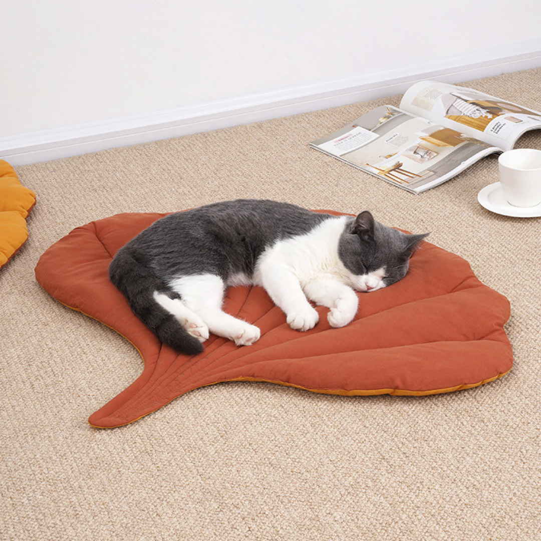 Tapis pour chat double face en forme de feuille