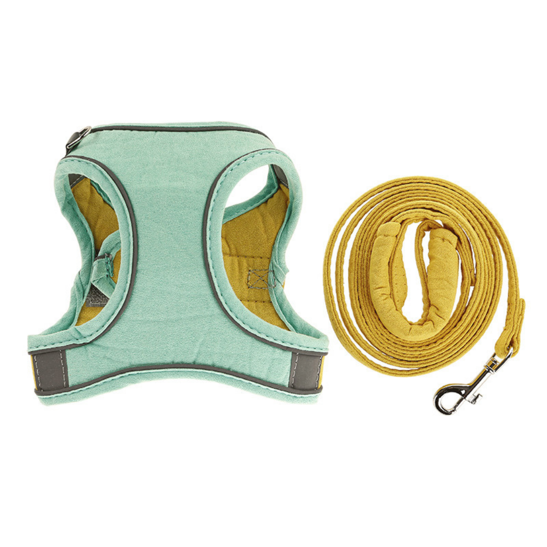 Nom personnalisé harnais et laisse pour chat