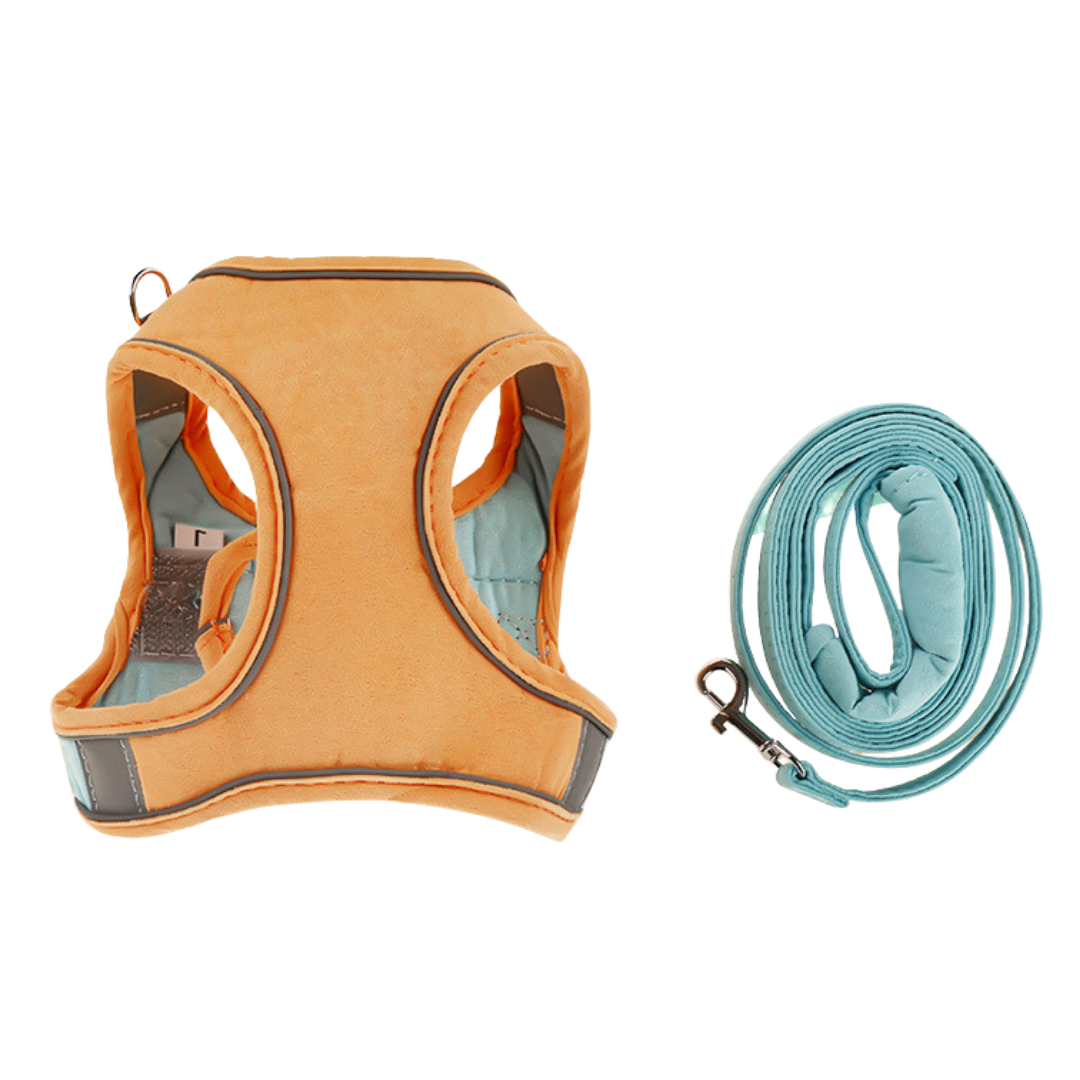 Nom personnalisé harnais et laisse pour chat