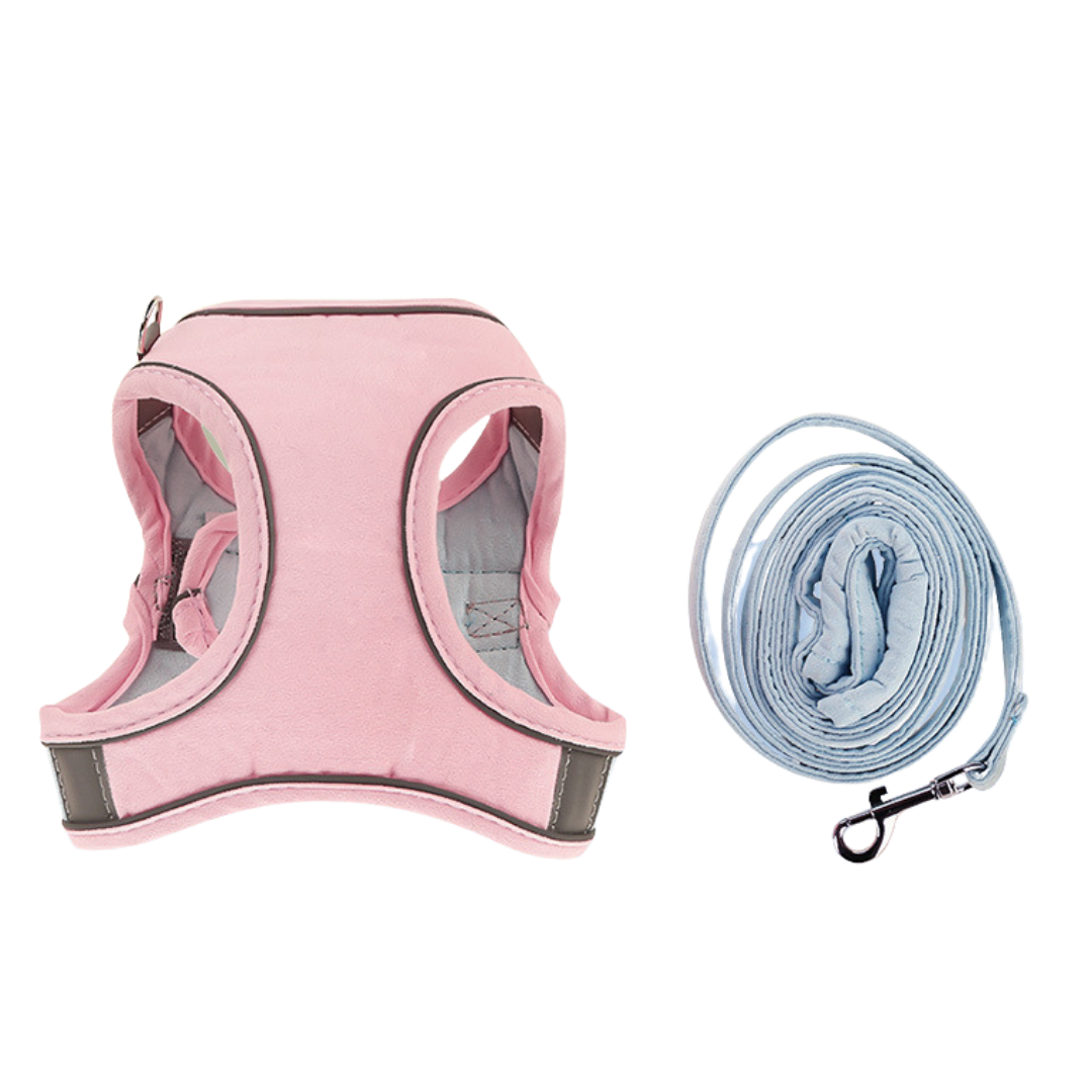 Nom personnalisé harnais et laisse pour chat