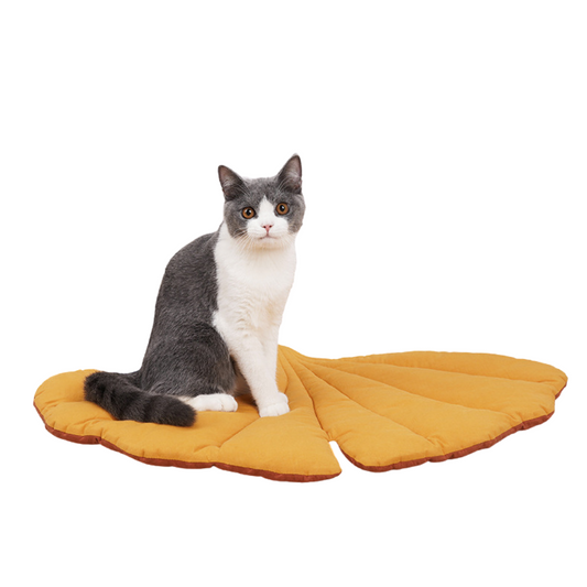 Tapis pour chat double face en forme de feuille